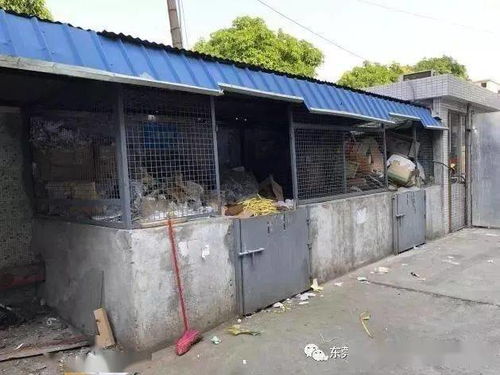 廢品站再做這類回收，就要攤上大事了！環(huán)境局提醒 一般工業(yè)固廢未按要求存放，最低罰款10萬元，嚴重的還要拘留